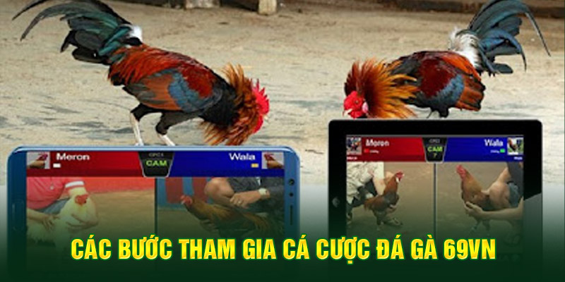 Các bước tham gia cá cược đá gà 69VN