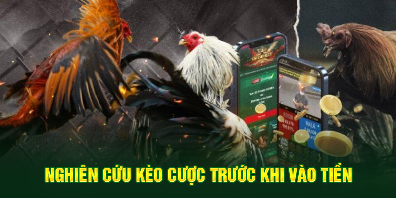 Nghiên cứu kèo cược trước khi vào tiền