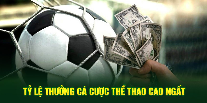 Tỷ lệ thưởng cá cược thể thao cao ngất